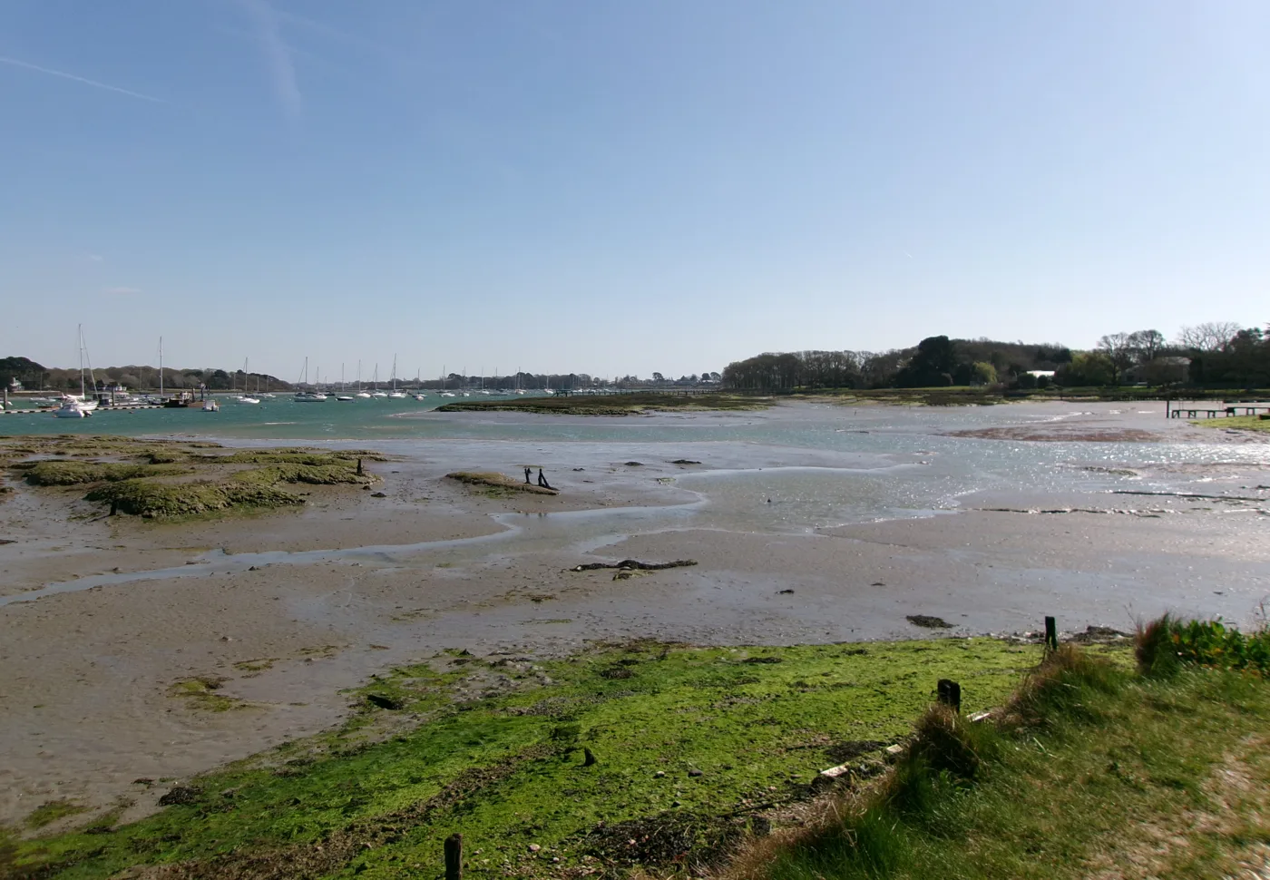 Chichester Harbour near Itchenor. The Conservancy counts more than 9,000 vessels and over 3,000 moorings across 11 square miles of water