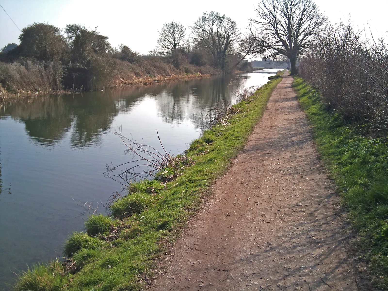 The towpath of the Chichester Ship Canal, running beside the water between bare trees and hedgerow